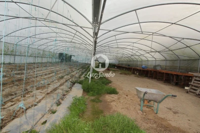 Terreno Agricola ou Rústico para Venda em Silvares (São Martinho)