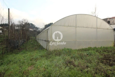 Terreno Agricola ou Rústico para Venda em Silvares (São Martinho)