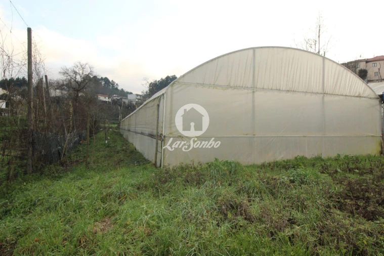 Terreno Agricola ou Rústico para Venda em Silvares (São Martinho) Foto 4