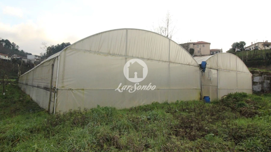 Terreno Agricola ou Rústico para Venda em Silvares (São Martinho)