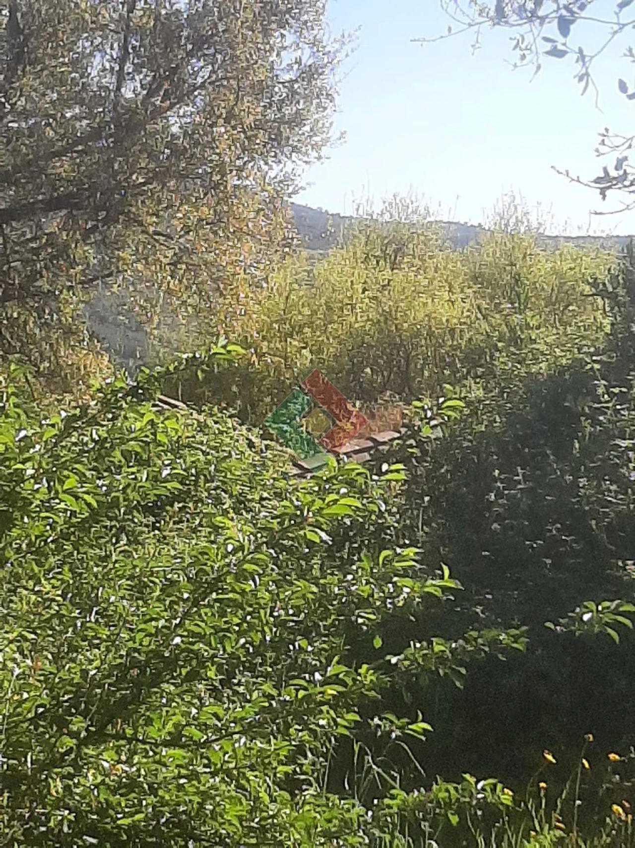 Quinta T2 para Venda em São Salvador da Aramenha Foto 4