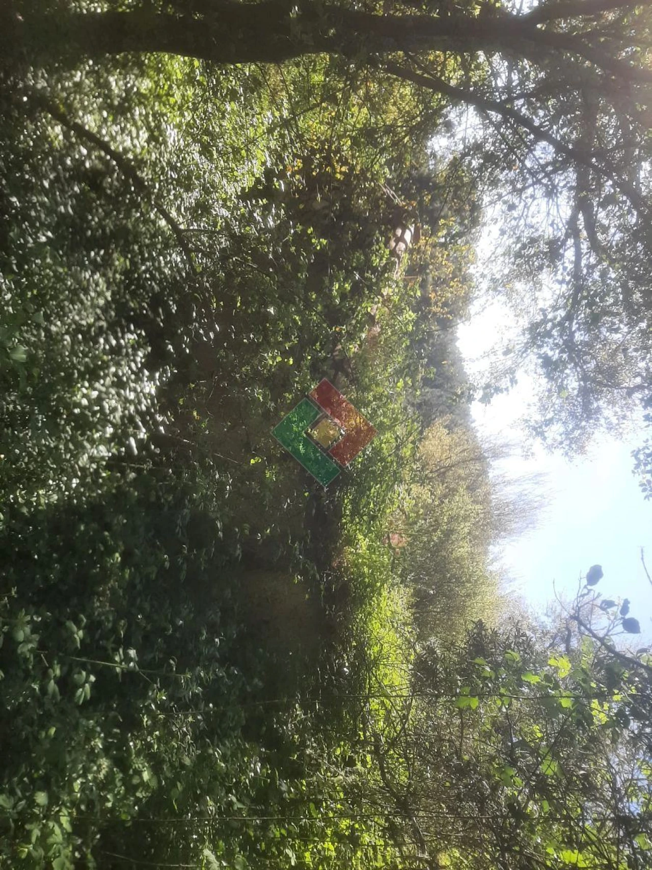 Quinta T2 para Venda em São Salvador da Aramenha Foto 6