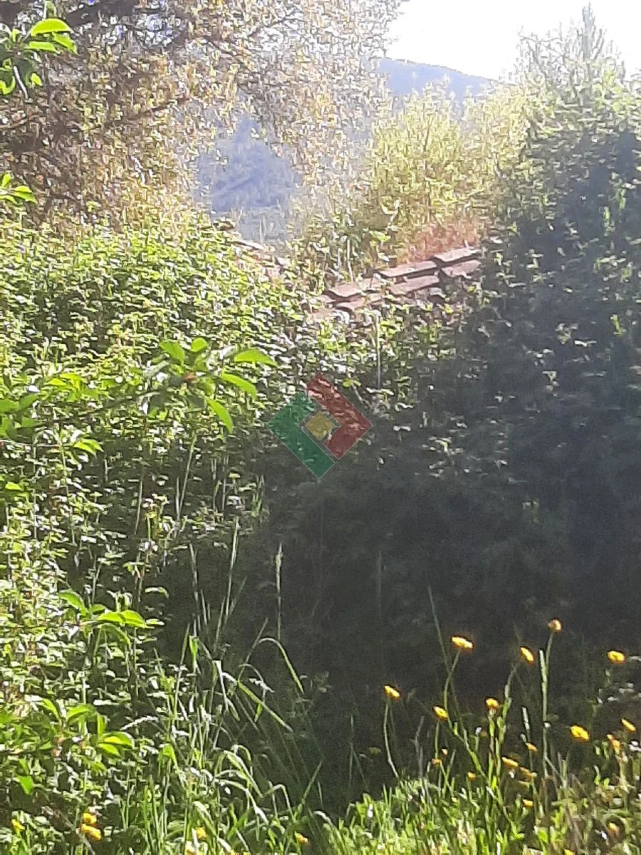 Quinta T2 para Venda em São Salvador da Aramenha Foto 11