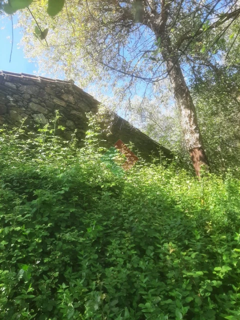 Quinta T2 para Venda em São Salvador da Aramenha