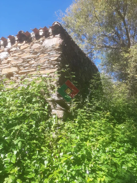 Quinta T2 para Venda em São Salvador da Aramenha