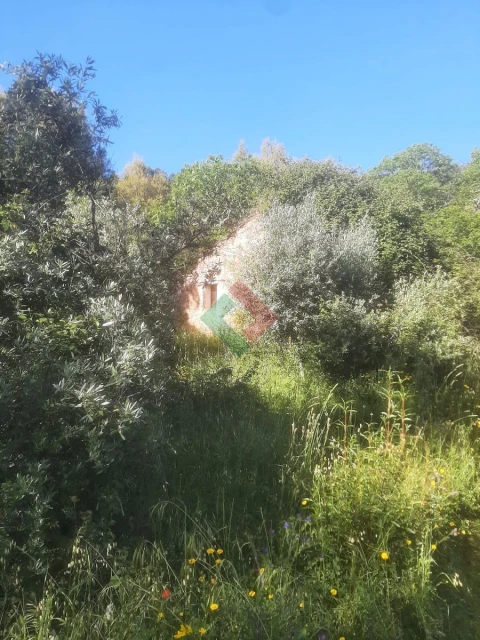 Quinta T2 para Venda em São Salvador da Aramenha