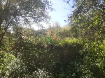 Quinta T2 para Venda em São Salvador da Aramenha