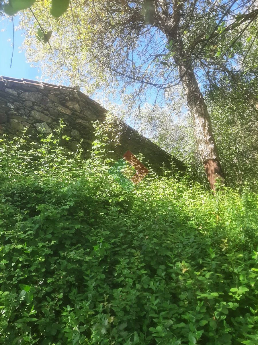 Quinta T2 para Venda em São Salvador da Aramenha Foto 2