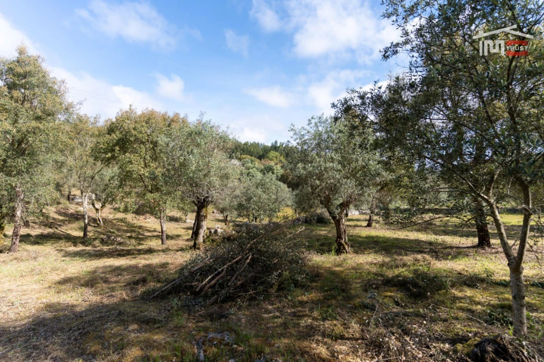 Terreno Agricola ou Rústico para Venda em Atouguia Foto 8