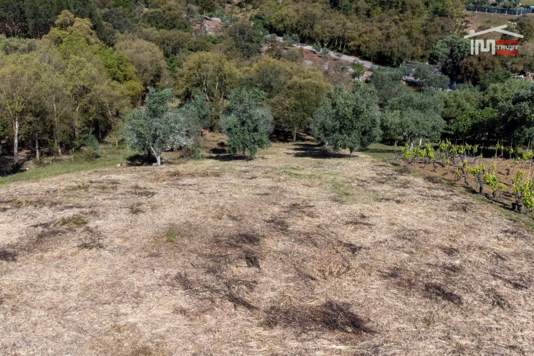 Terreno Agricola ou Rústico para Venda em Atouguia Foto 9