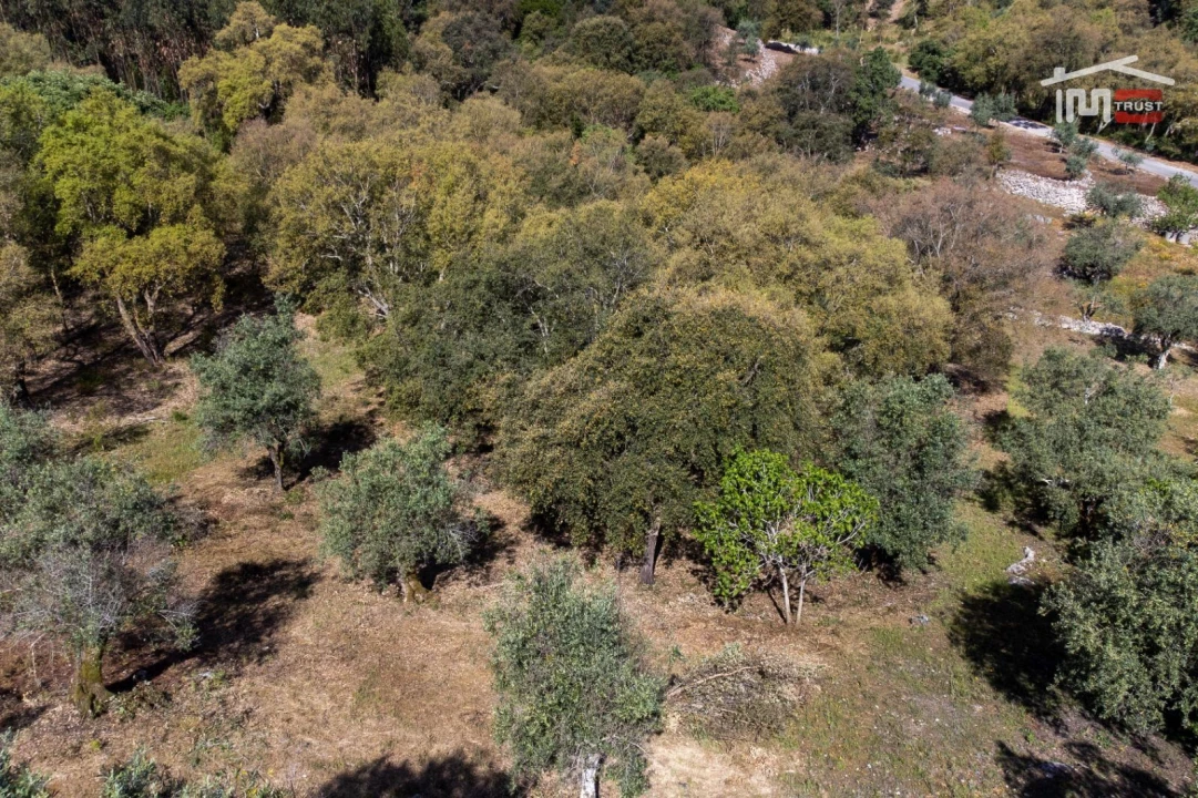 Terreno Agricola ou Rústico para Venda em Atouguia Foto 15