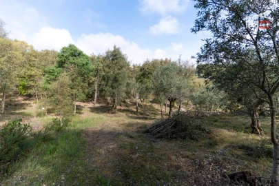 Terreno Agricola ou Rústico para Venda em Atouguia