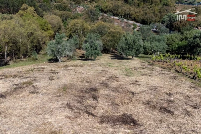 Terreno Agricola ou Rústico para Venda em Atouguia