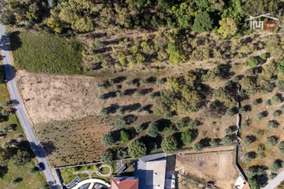 Terreno Agricola ou Rústico para Venda em Atouguia