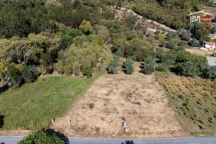 Terreno Agricola ou Rústico para Venda em Atouguia Foto 10