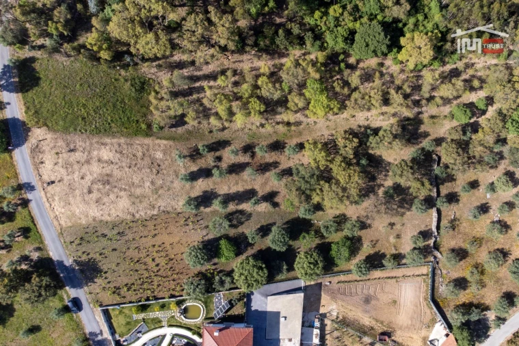 Terreno Agricola ou Rústico para Venda em Atouguia Foto 14