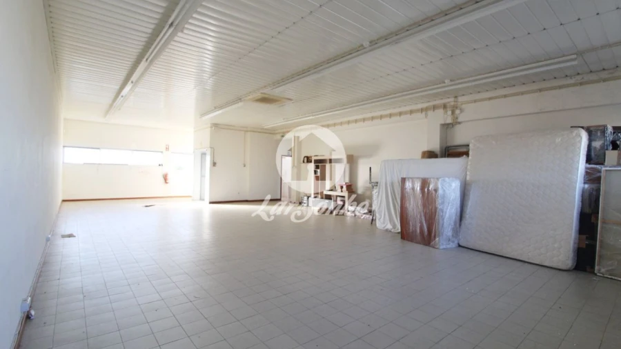 Armazém para Venda em Carvalhal