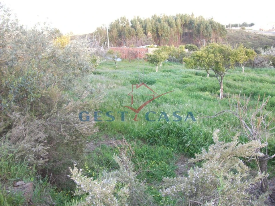 Terreno para Venda em Castelo Branco Foto 1