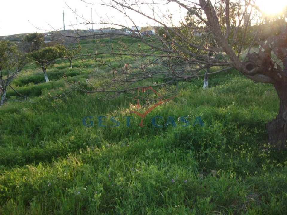 Terreno para Venda em Castelo Branco Foto 6