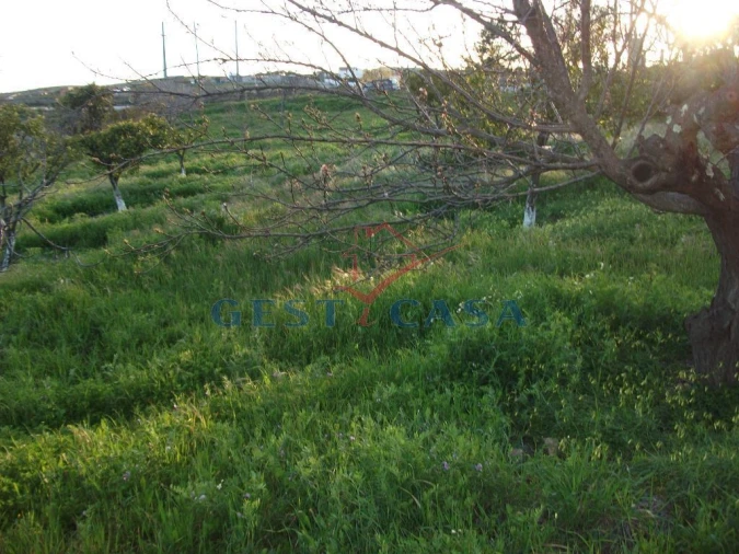Terreno para Venda em Castelo Branco Foto 6