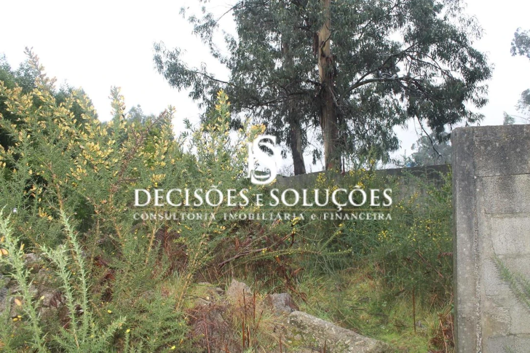 Terreno para Venda em Carvalhosa Foto 7