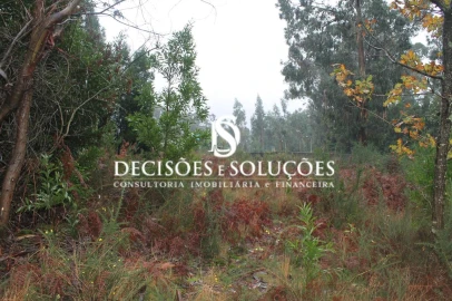 Terreno para Venda em Carvalhosa
