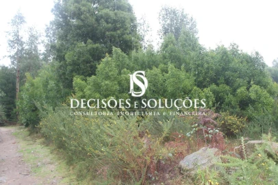 Terreno para Venda em Carvalhosa