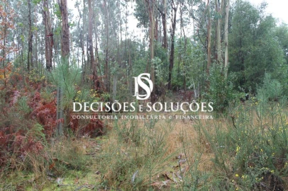 Terreno para Venda em Carvalhosa