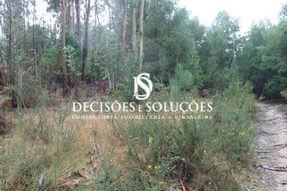 Terreno para Venda em Carvalhosa