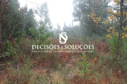 Terreno para Venda em Carvalhosa
