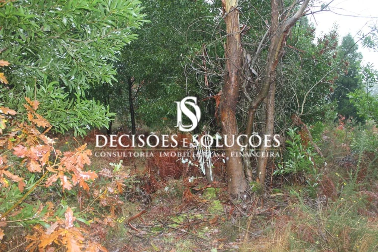 Terreno para Venda em Carvalhosa Foto 5