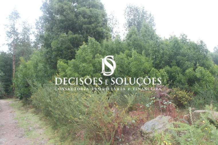 Terreno para Venda em Carvalhosa Foto 8
