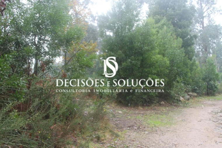Terreno para Venda em Carvalhosa Foto 3