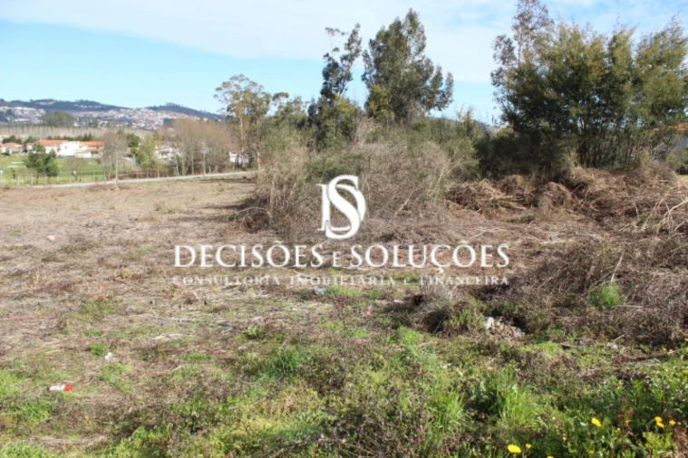 Terreno para Venda em Carvalhosa