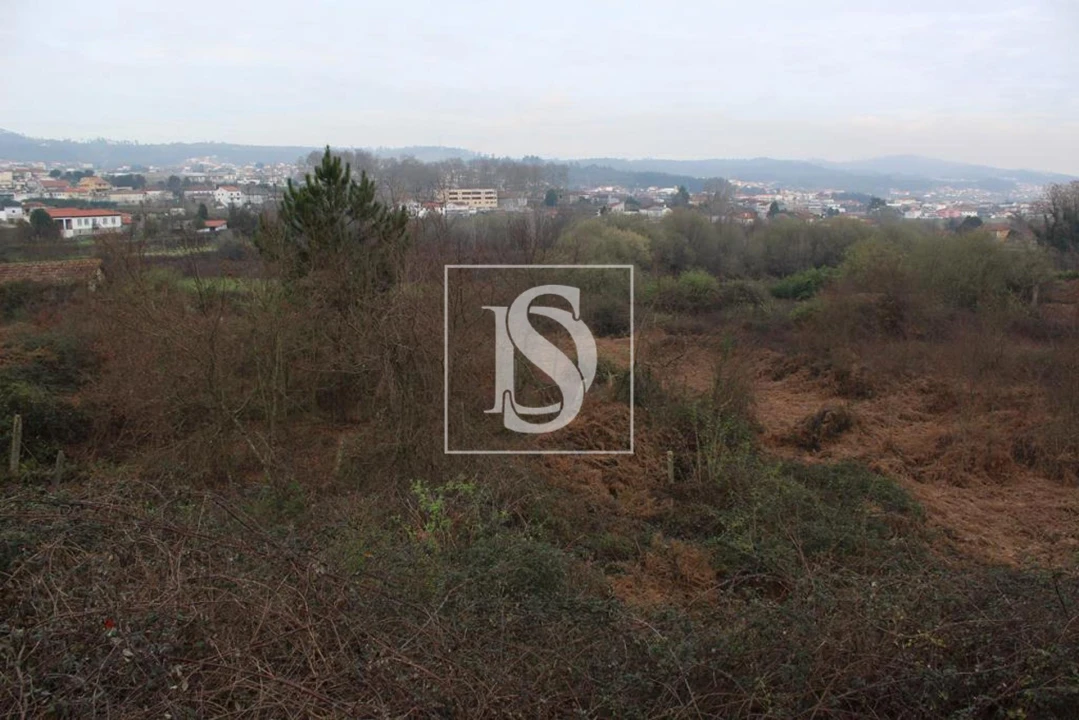 Quinta T0 para Venda em Meixomil Foto 4