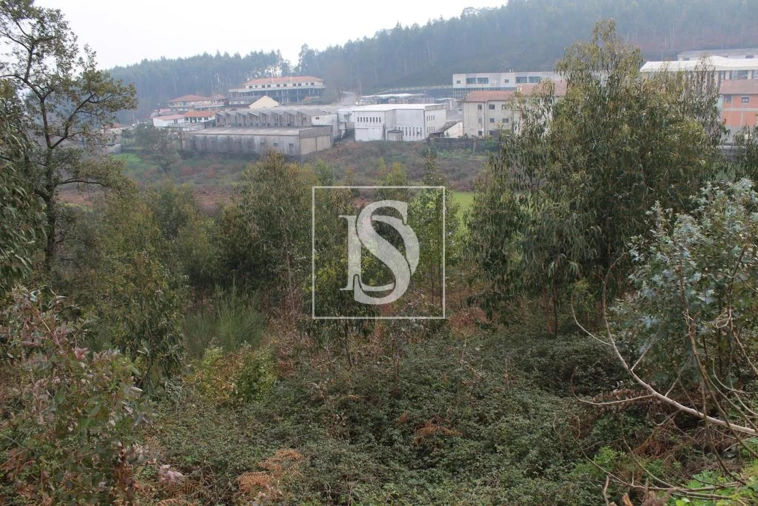 Quinta T0 para Venda em Meixomil Foto 5