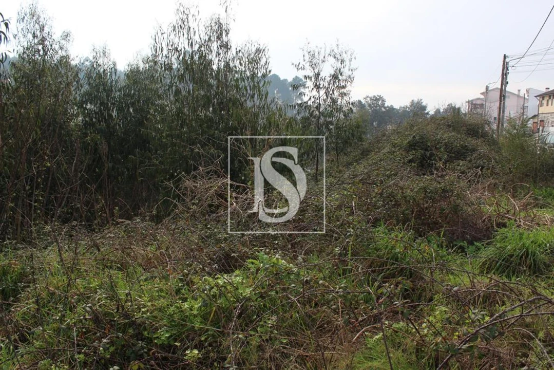 Quinta T0 para Venda em Meixomil Foto 11