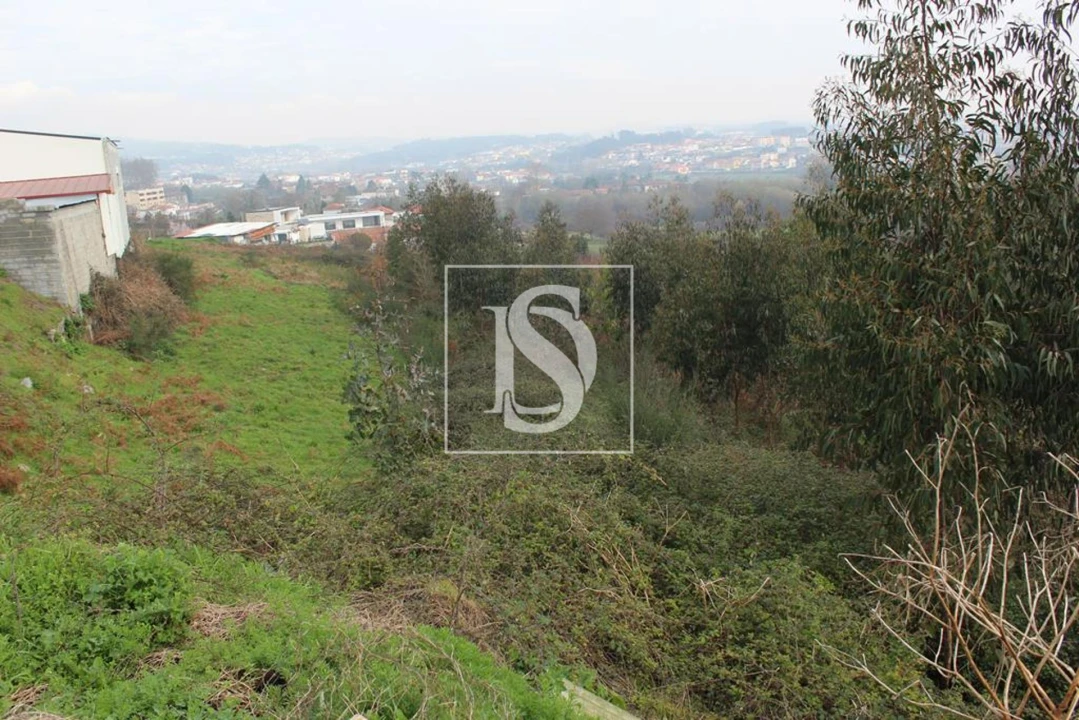 Quinta T0 para Venda em Meixomil Foto 13