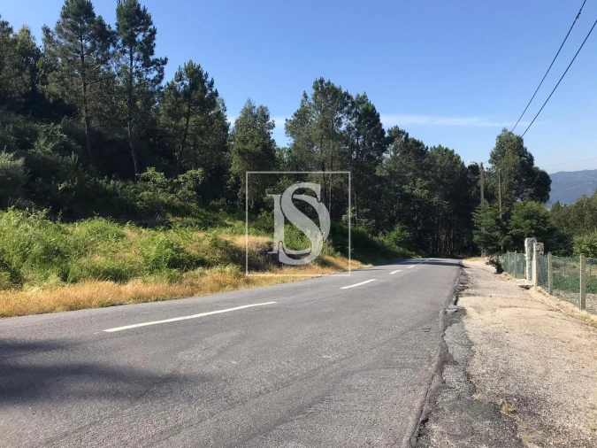 Terreno para Venda em Tabuado Foto 9