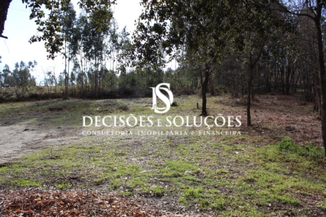 Terreno para Venda em Carvalhosa Foto 5