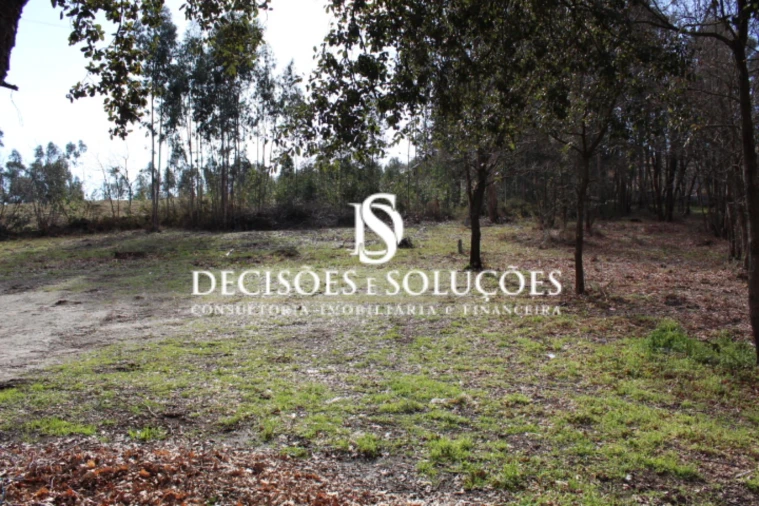 Terreno para Venda em Carvalhosa Foto 5
