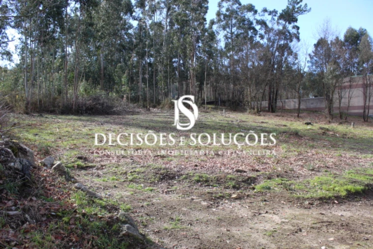 Terreno para Venda em Carvalhosa