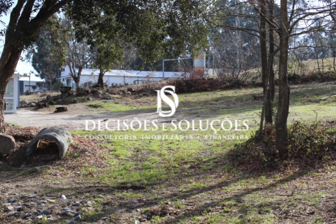 Terreno para Venda em Carvalhosa Foto 4