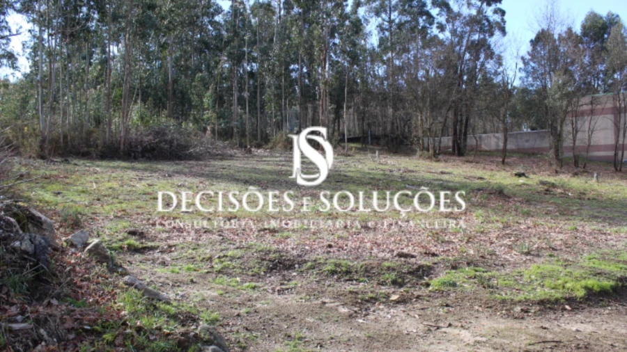 Terreno para Venda em Carvalhosa