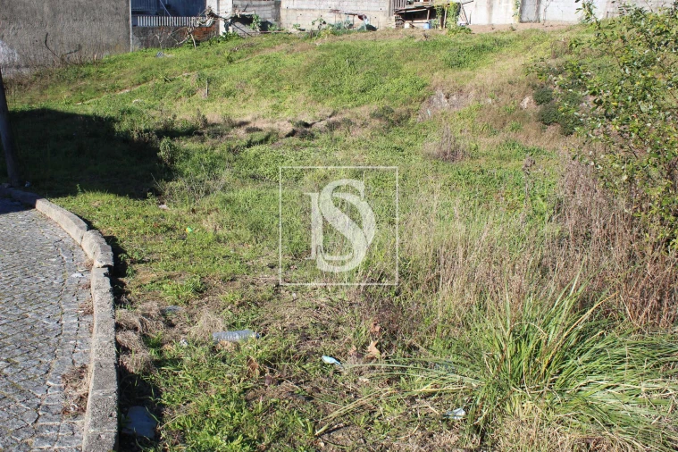 Terreno para Venda em Campo e Sobrado Foto 3