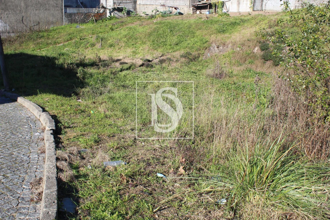 Terreno para Venda em Campo e Sobrado Foto 3