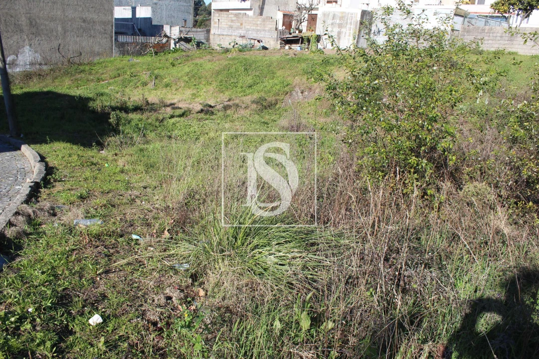 Terreno para Venda em Campo e Sobrado Foto 4