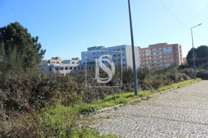 Terreno para Venda em Valongo