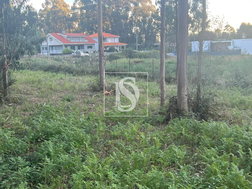 Terreno para Venda em Eiriz Foto 6