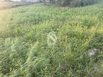 Terreno para Venda em Eiriz